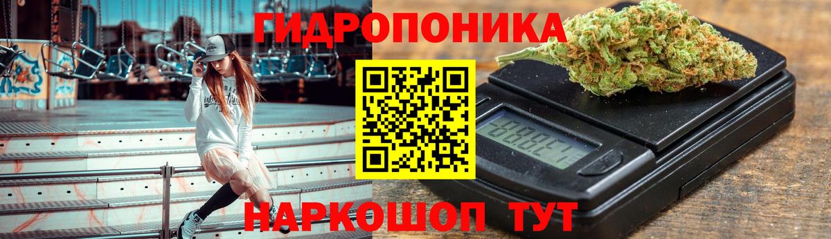 Бошки Шишки марихуана  Вход с VPN  Каннабис семена  Кыштым 